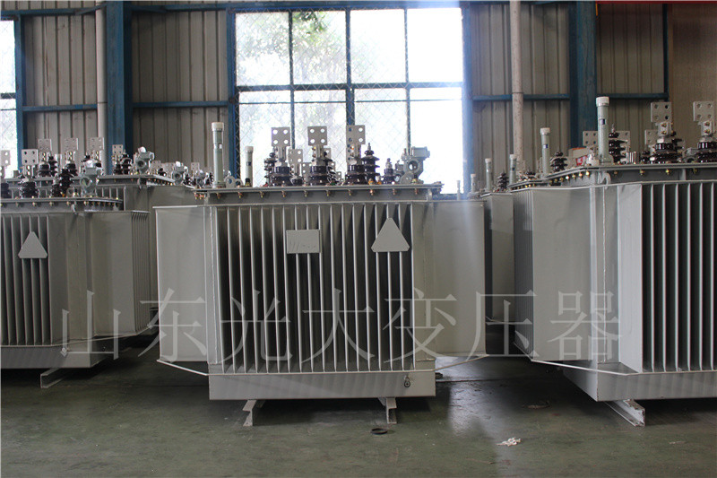 洛龙S20-500KVA/10KV